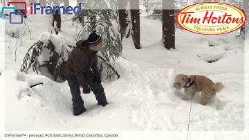 Test video -- Video upload via iFramed