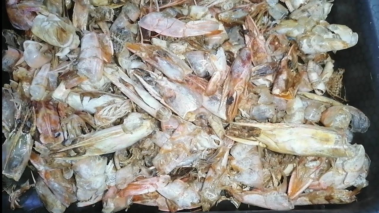 بقشر جمبري عملنا احلى بهارات ❤️🍤