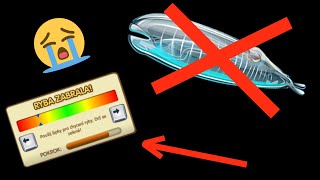 Fishao - I Lost Salpa Maggiore