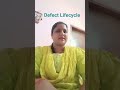 Defect lifecycle