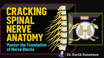 "Understanding Spinal Nerve Anatomy | Foundation for Sacral Plexus Blocks"