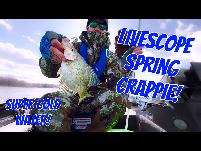 LiveScope Spring Crappie! How we targeted pre-spawn cold weather crappie! 