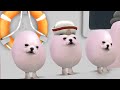 eggdog cruise