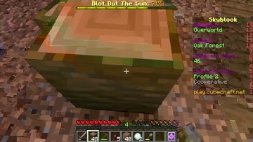 Cubecraft Skyblock: Cocoa bean farm!!! (18)