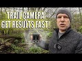 &quot;Unlock Nature&#39;s Secrets: The Secret to Choosing &amp; Setting Up a Trail Camera!&quot;