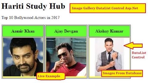 Create Image Gallery in DataList Control Asp.Net C# | Hindi | Online Learning Classes