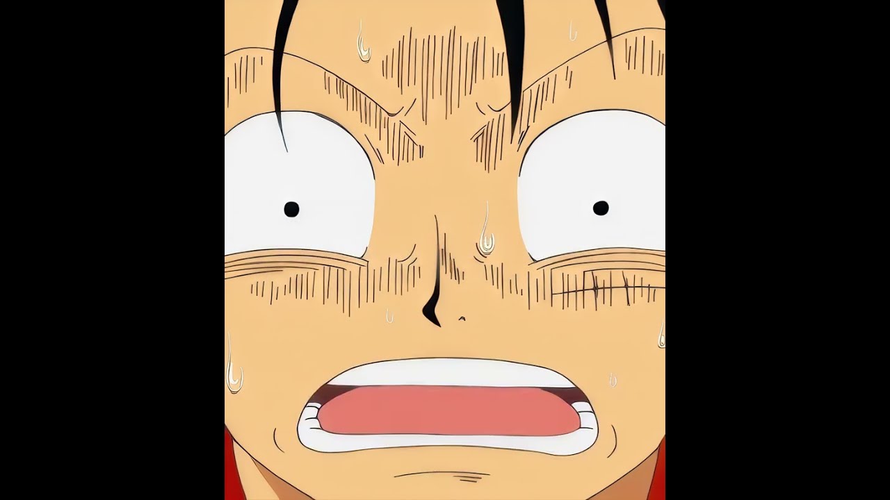 NAMI IS LUFFY S GIRLFRIEND Nami Onepiece