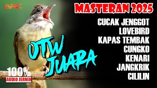 Download Lagu MASTERAN KOMBINASI KAPAS TEMBAK - CILILIN - CUCAK JENGGOT - PLATUK BAWANG MP3 Download Lagu MASTERAN KOMBINASI KAPAS TEMBAK - CILILIN - CUCAK JENGGOT - PLATUK BAWANG MP3