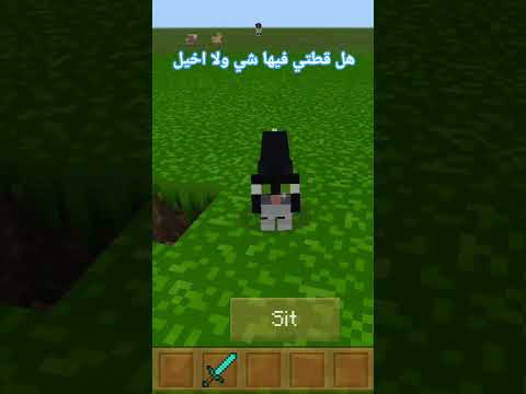هل قطتب فيها شي ولا ات خيل اشترك بل قناة وفعلو الجرس ليصلكم كل جديد اكسبلور اهميه النظافه لايك