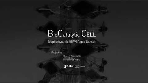 BioCatalytic Cell - Biophotovoltaic (BPV) Algae Sensor
