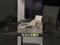 ノリノリダンスからの、ちょっと足りない幸せなら手をたたこう♪