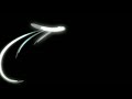 Jalala New Video 