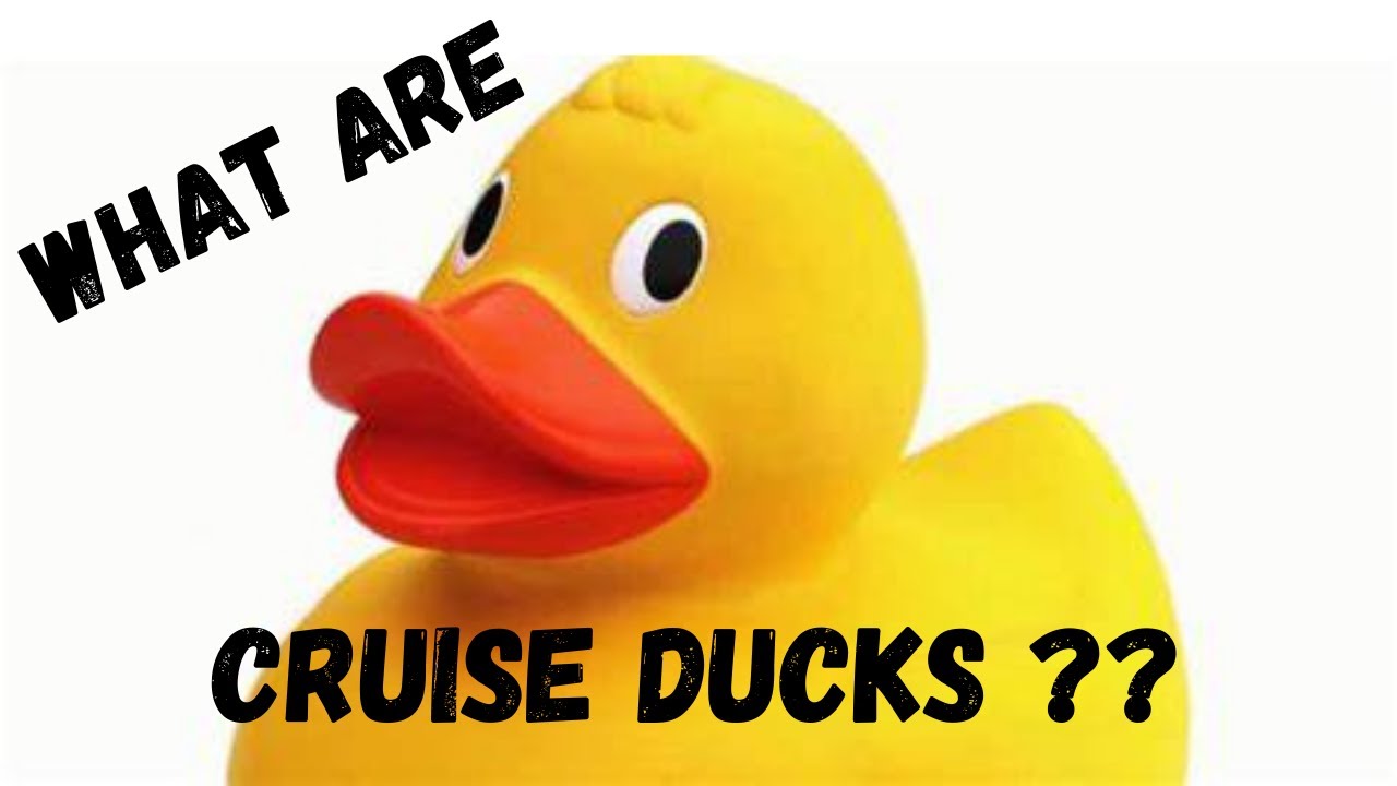 Cruise Tips - Cruise Ducks, What Are They?