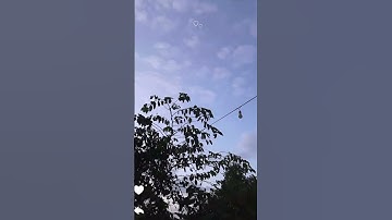 (إِنَّمَا هَذِهِ الْحَيَاةُ الدُّنْيَا مَتَاعٌ) سورة غافر -الاية 39]