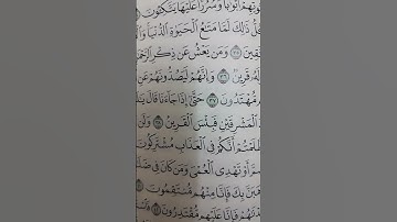 سورة الزخرف من آية 36_40