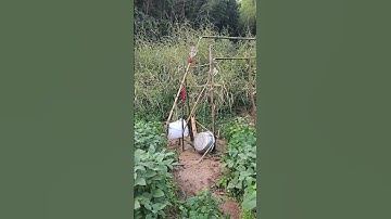 Ponta sem poluição, trabalho com água automática, controle suave das aves para o ecossistema.