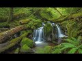 Stress Relief: Serene Waterfall & Nature Sounds for Relaxation | 4K Green Therapy