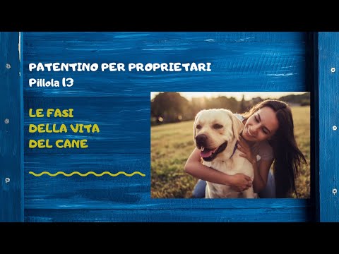 Video: Fasi Della Vita Del Cane E Bisogni Nutrizionali