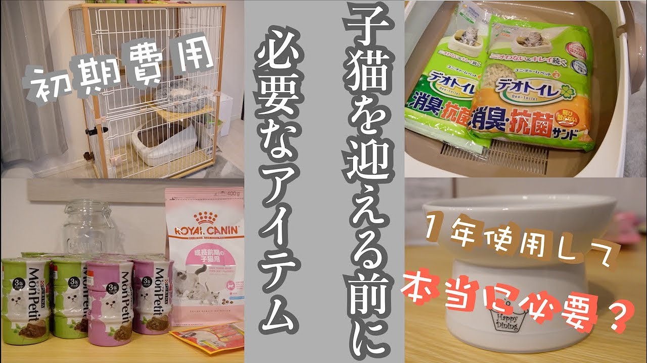 【子猫お迎え前の準備アイテム】1年使ってみて本当に必要だった？