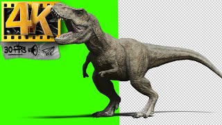 T-Rex | Jurassic world | Dinosaurs Green Screen  - Footage 4K