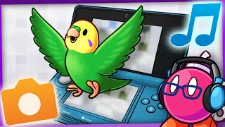 The Joy of Nintendo DSi/3DS Camera &amp; Sound