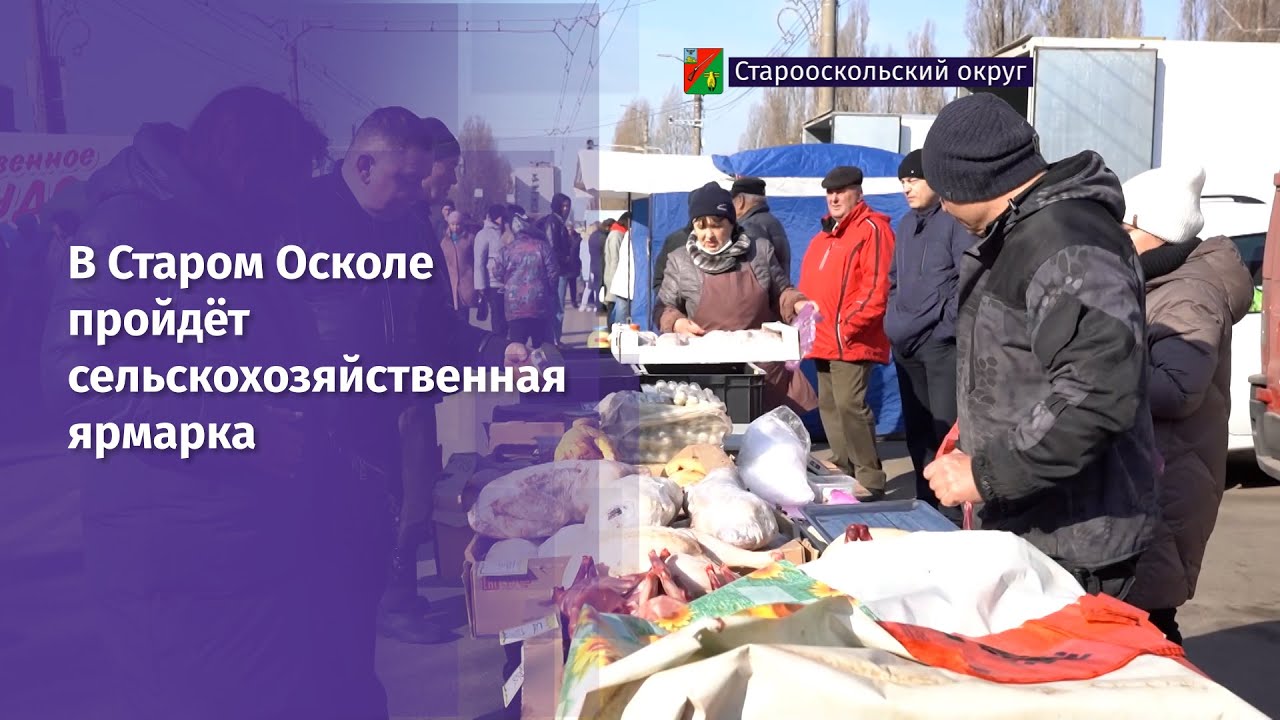 ярмарка старый оскол. ярмарка старый оскол. ярмарка губкин. сельская ярмарка. ярмарка продовольственная белгород.