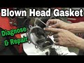 How To Diagnose and Properly Repair a Blown Head Gasket on Overhead Valve Engine (OHV) - With Taryl