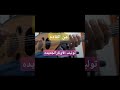 النغمه الاقرب للدقه للأغنيه من خلالها توزن اوتار العود عود النغمه الاقرب للدقه للأغنيه من خلالها توزن اوتار العود عود
