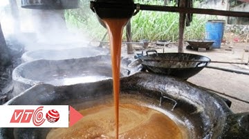 Làng mật mía xứ Thanh tất bật đón Tết | VTC