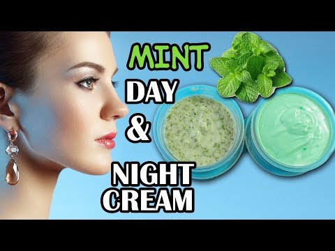 Home Made Day and Night Mint Cream   Anti Acne treatment in Monson Season
