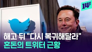 머스크의 '대량 해고' 이어지자 광고 중단까지.. 커지는 트위터 '후폭풍' / 14F