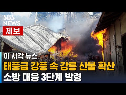 [속보] 강릉 순간풍속 30ｍ 태풍급 강풍 속 산불 확산 / SBS