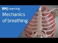 Basics of ventilation mechanics of breathing  bmj learning