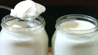 Homemade Yogurt Recipe | योगर्ट बनाये घर में आसानी से | How To Make Yogurt At Home | Curd Recipe |