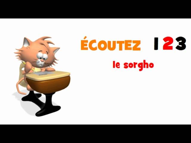 Le sorgho