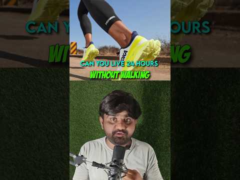 Can You Survive 24 Hours