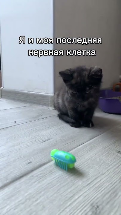 Последняя нервная клетка - YouTube