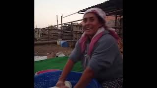 Sevdana Gönül Verdim Düşürdü Beni Dillere....