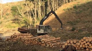 NEW ZEALAND LOGGING Timbco 820 forwarder.