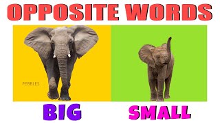 Learn Opposite Words | Opposite Words in English with Picture | Opposite | Educational Video
