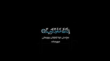 واستغفروا الله إن الله غفور ~ كرومات قرآن كريم ~ عبد الرحمن مسعد حالات واتس