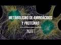 Metabolismo de aminoácidos y proteínas - PARTE I - Bioquímica - Lic. en Nutrición