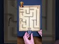 Maze solo: Bombardier Beetle vs Centipede Golden Cup Race in the Maze!