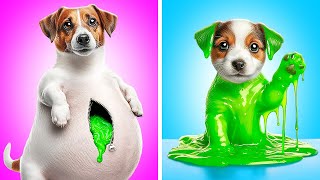 PLEASE Save This Cute Puppy 🐶 *Crazy Dogs Hacks And Gadgets For Pet Owners* by Purr Tool 15,649 views 11 days ago 55 minutes