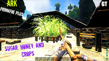 How to make SUGAR and HONEY - Primitive Plus (Part 1) - ARK: Survival Evolved