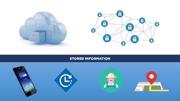 Spark Compass Product Tracking Platform of Platforms