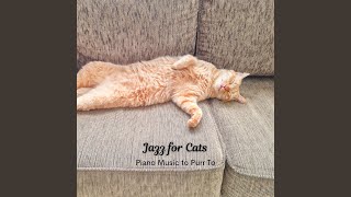 harmonious Cat Melodies