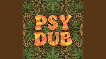 Auditory Osmosis (Psy Dubby Edit)