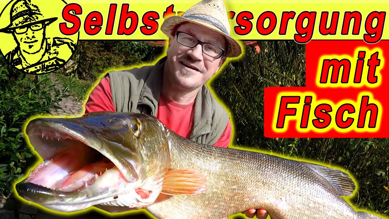Auch das ist Selbstversorgung: Großer HECHT geangelt und: Profi zeigt, wie man den Fisch filetiert