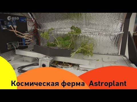 Проект автономной системы жизнеобеспечения в космосе